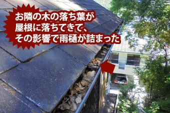 落ち葉が屋根に落ちてきて雨樋が詰まった