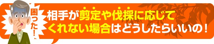 相手が剪定に応じてくれない場合はどうしたらいいの?