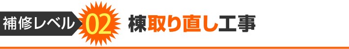 補修レベル2:棟取り直し工事