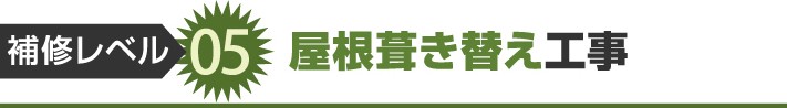 補修レベル5:屋根葺き替え工事