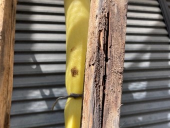 棟木状況 腐食