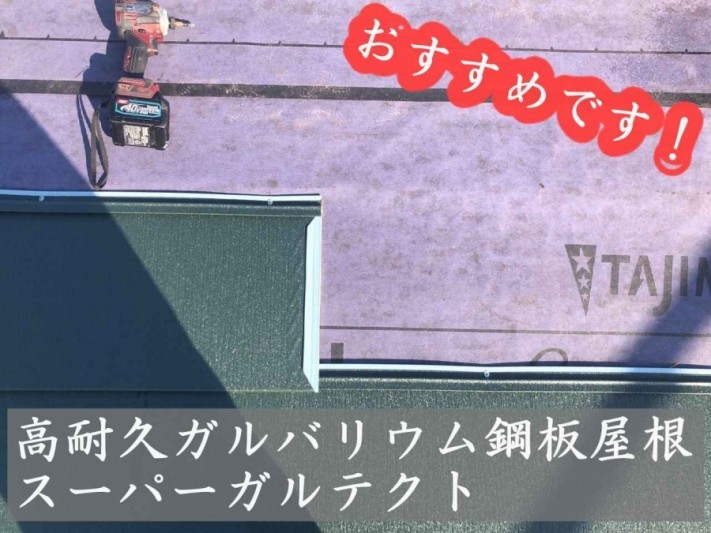 ガルテクト おすすめ