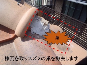 スズメ補修