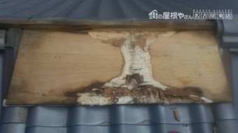 コンパネ腐食
