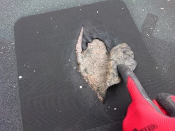 強風で被害を受けたトタン屋根