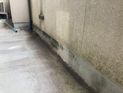 FRP防水 施工前