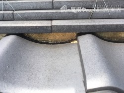 漆喰劣化