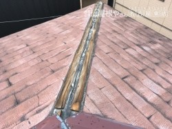 20180910-15_180915_0009-before-overlay