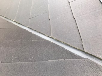 パミール