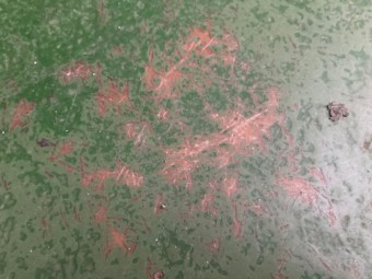 FRP防水