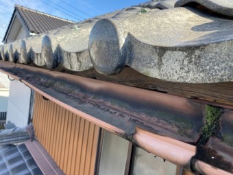 雨樋の変形 交換時期