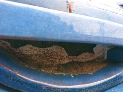 屋根補修工事 釉薬陶器瓦