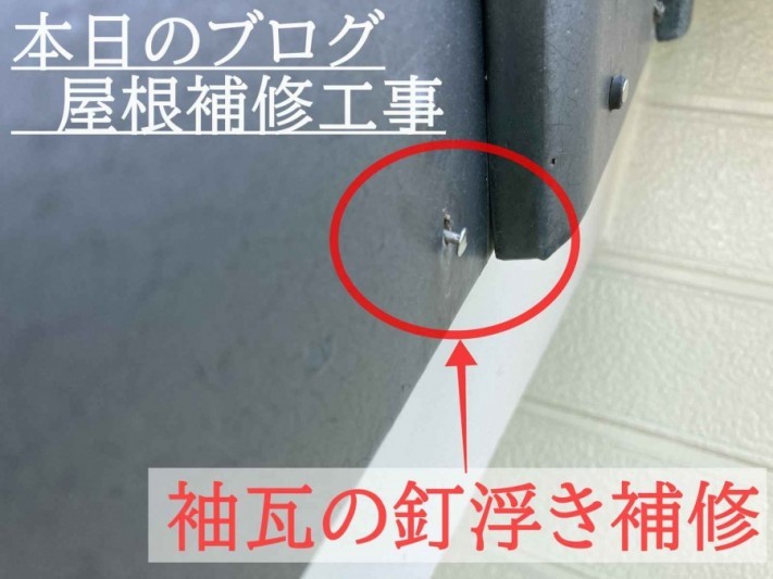 瓦の釘浮き