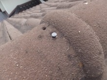 モニエル瓦塗装