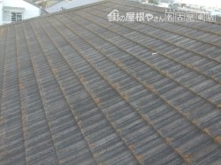 セメント瓦