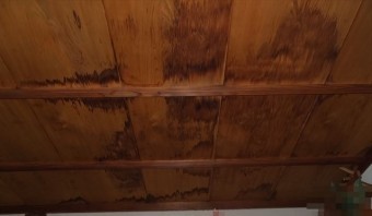 雨漏れ 散水試験