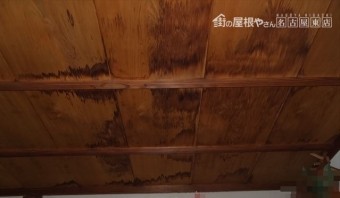 雨漏れ 散水試験
