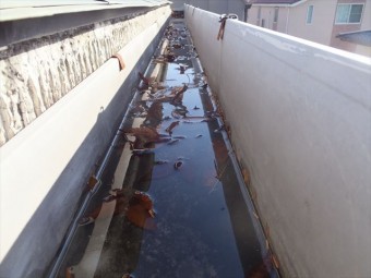 雨樋の詰まり