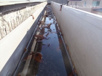 雨樋の詰まり