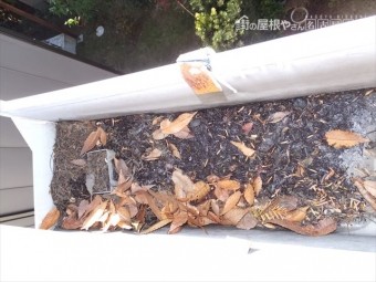 雨樋の詰まり