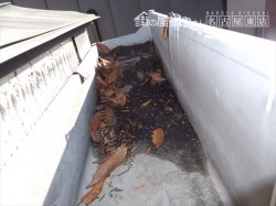 雨樋の詰まり