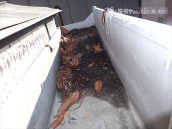雨樋の詰まり