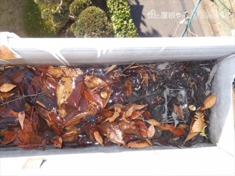 雨樋の詰まり