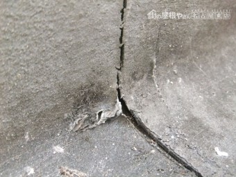 現地調査