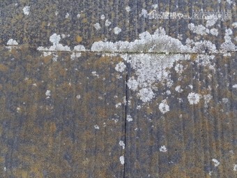 カラーベスト 劣化状況