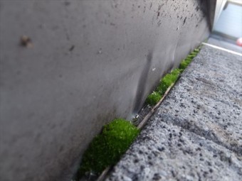バルコニー 水洗い
