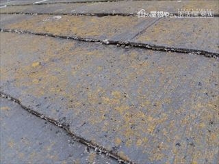 カラーベストに瓦