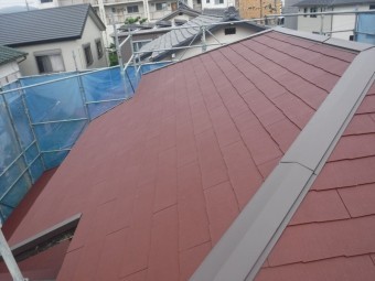 コロニアルグラッサ