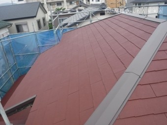 コロニアルグラッサ