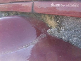 棟下シックイ