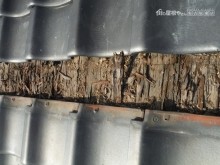 杉皮