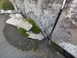 複合屋根 スレート 雨漏り