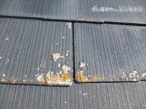 複合屋根 スレート 雨漏り