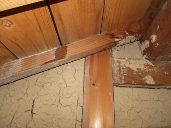 屋根裏 雨染み状況