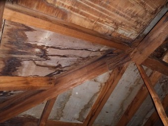 小屋裏 雨漏れ状況