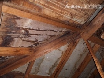 小屋裏 雨漏れ状況