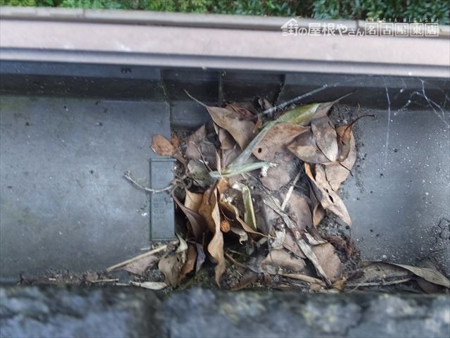 雨樋の詰まり