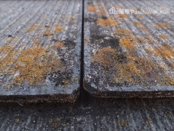 スレート屋根の雨漏れ