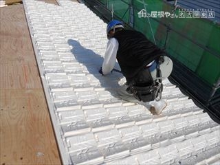 ヤネフキ名人