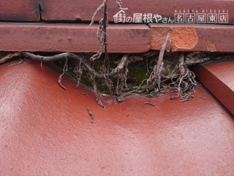 屋根の点検 棟下漆喰