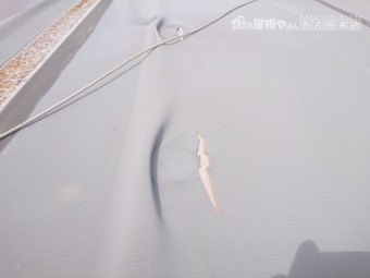シート防水 劣化 切れ