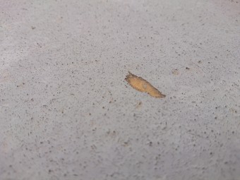FRP防水 劣化 メンテナンス
