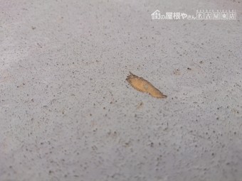 FRP防水 劣化 メンテナンス