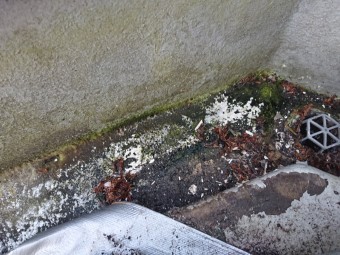 FRP防水 雨漏り