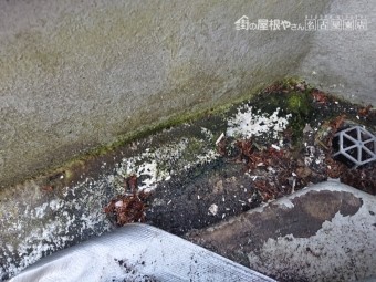 FRP防水 雨漏り