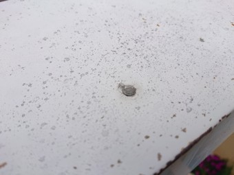 雨漏り調査